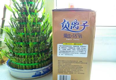 【廠家 沁美人負離子衛生巾 超吸收 防側漏 禮盒12包 衛生巾】價格_廠家_圖片 -