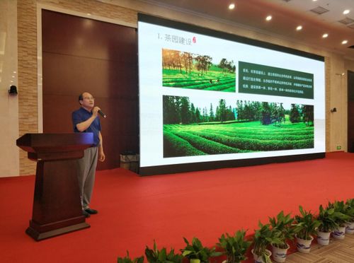 江茶集團(tuán)以茶為媒盛裝亮相 南昌茶博會(huì)