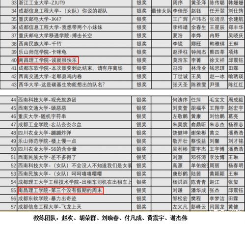 南昌理工學(xué)院在四川省計(jì)算機(jī)程序設(shè)計(jì)競賽中榮獲銀獎